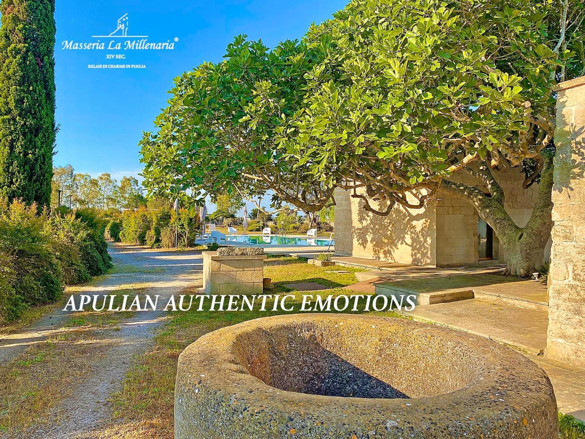 Masseria La Millenaria サン・フォカ エクステリア 写真